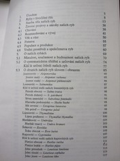 náhled knihy - 