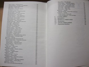 náhled knihy - 