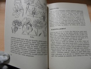 náhled knihy - 