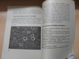 náhled knihy - 