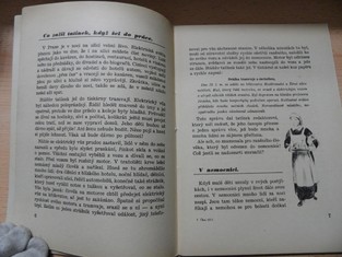 náhled knihy - 