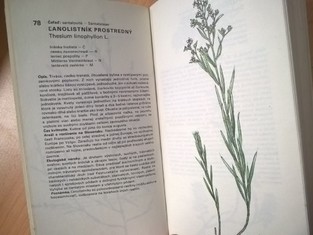 náhled knihy - 
