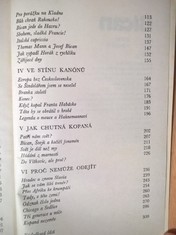 náhled knihy - 