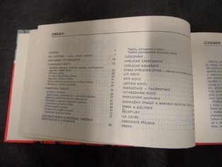 náhled knihy - 