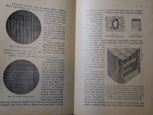 náhled knihy - Chemická technologie dřeva : rostlinný vývoj, chemické složení a zpracování dřeva, jakož i technická úprava uměleckých výrobků pro truhláře, soustružníky, řezbáře, košikáře, natěrače, pozlacovače, malíře, techniky, chemiky, lesníky, stavitele a ku potřebě na průmyslových školách odborných a pokračovacích