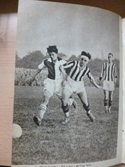 náhled knihy - 