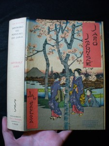 náhled knihy - Japonské jaro: zlomky života