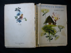 náhled knihy - Cestička k domovu