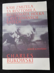 náhled knihy - Kam zmizela ta roztomilá, rozesmátá holka v květovaných šatech : básně povídky