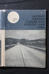 náhled knihy - Dlouhá bílá přerušovaná čára