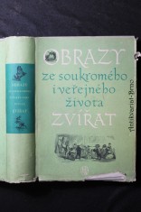náhled knihy - Obrazy ze soukromého i veřejného života zvířat : studie současných mravů