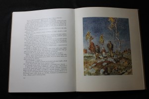 náhled knihy - 
