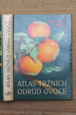 náhled knihy - Atlas tržních odrůd ovoce