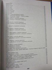 náhled knihy - 
