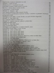 náhled knihy - 