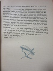 náhled knihy - 