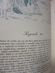 náhled knihy - 