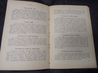 náhled knihy - 