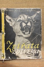 náhled knihy - Zvířata zblízka : Procházka pražskou zoologickou zahradou