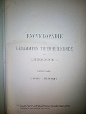 náhled knihy - 