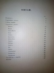 náhled knihy - 