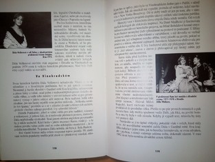 náhled knihy - 