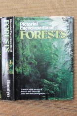 náhled knihy - Pictorial Encyclopedia of Forests
