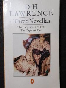 náhled knihy - Three Novelas: The Ladybird, The Fox, The Captain Doll