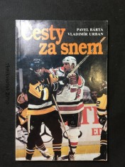 náhled knihy - Cesty za snem
