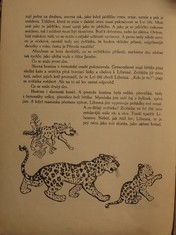 náhled knihy - 