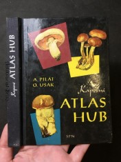 náhled knihy - Kapesní atlas hub