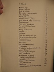 náhled knihy - 