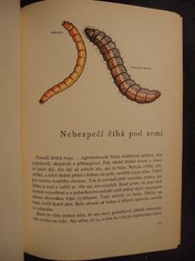 náhled knihy - 