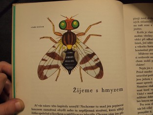 náhled knihy - 