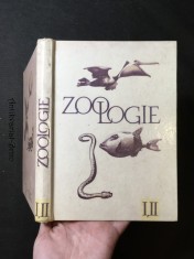náhled knihy - Zoologie pro I. a II. ročník středních všeobecně vzdělávacích škol