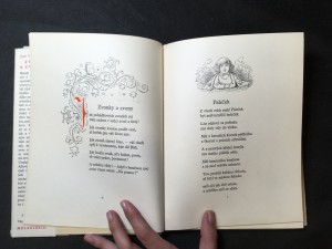 náhled knihy - 