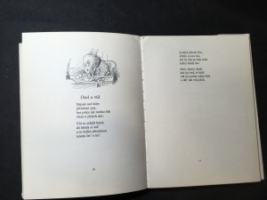 náhled knihy - 