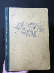 náhled knihy - Příhody vrabce Čim-čima