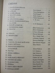 náhled knihy - 