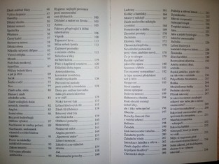 náhled knihy - 