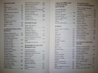 náhled knihy - 