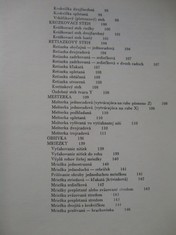 náhled knihy - 