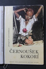 náhled knihy - Černoušek Kokorí : pro malé čtenáře