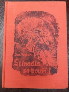náhled knihy - Stínadla se bouří