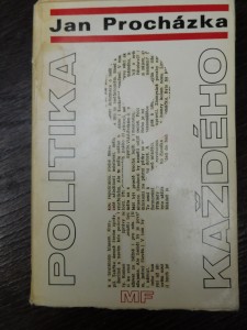 náhled knihy - Politika pro každého