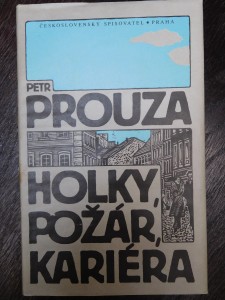 náhled knihy - Holky, požár, kariéra : výbor krátkých próz