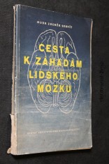 náhled knihy - Cesta k záhadám lidského mozku