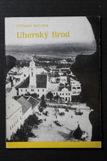 náhled knihy - Uherský Brod : Průvodce městem Komenského