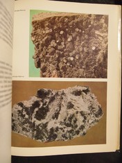 náhled knihy - 