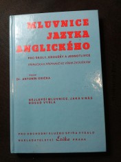 náhled knihy - Mluvnice jazyka anglického